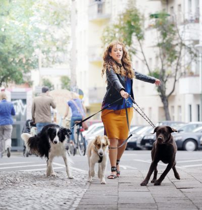 Nutzfahrzeuge mit Rückfahrsystem nachrüsten und Unfälle mit Passanten vermeiden.